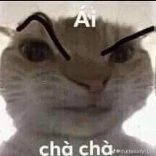 Mua acc 300k có shot 2 mp 2 tốc